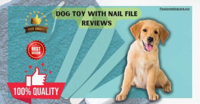 Dog Toy With Nail File