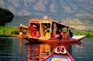 Enjoy Shikara Ride On Dal Lake