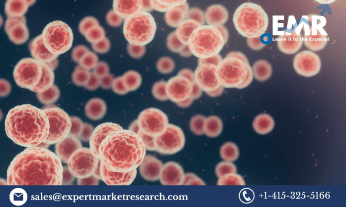 HPV Associated Disorders Market