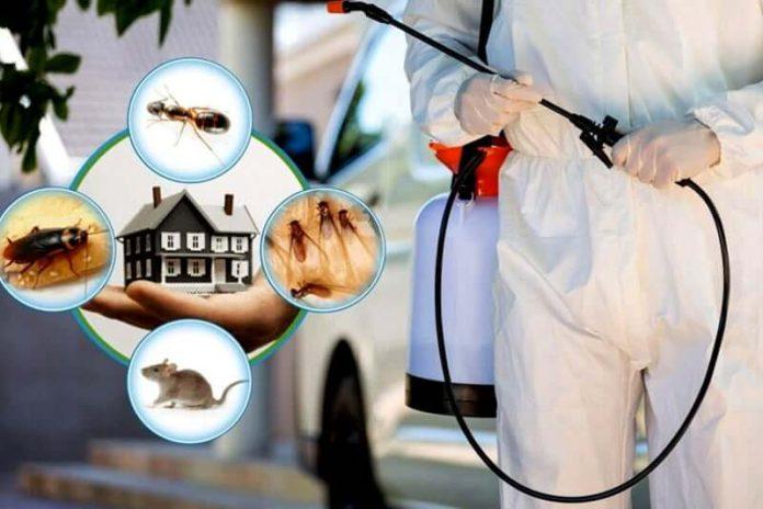 pest control mississauga