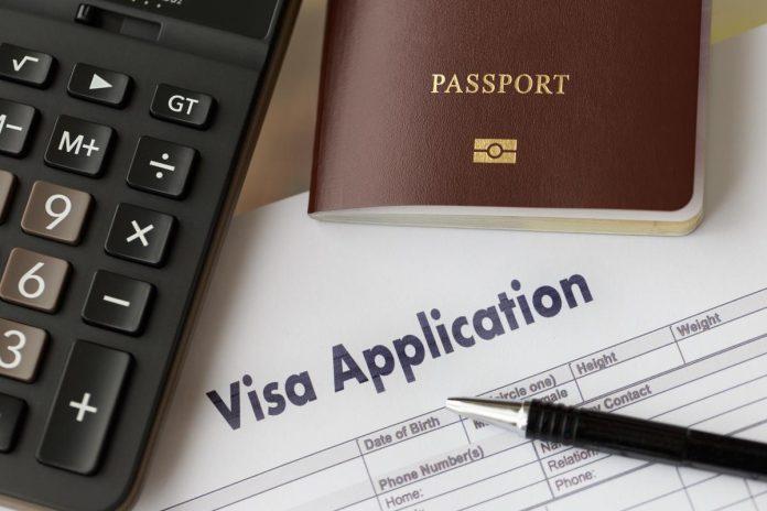 Chances Of Success With Professional Immigration Agents