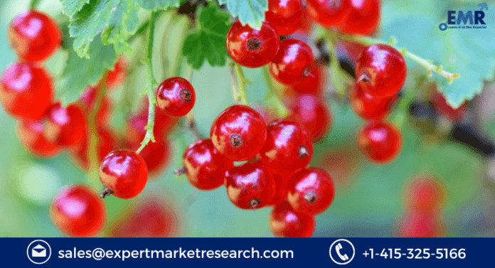 Red Berries Market Size