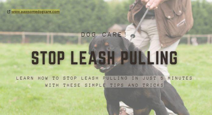 Stop Leash Pulling