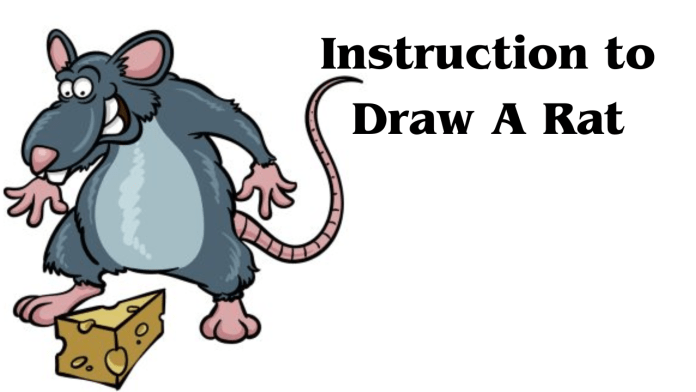 The Best Way to Draw a Rat - A Complete Guide