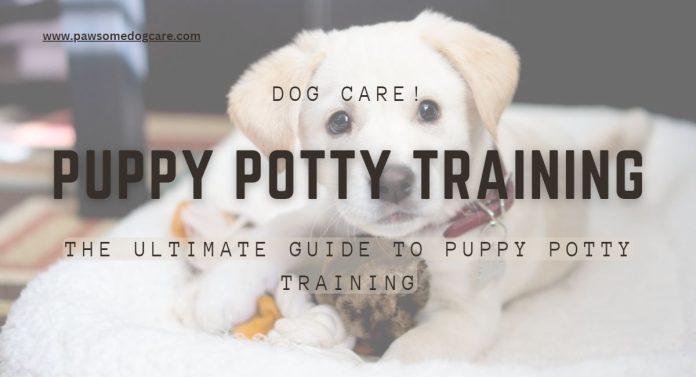 The Ultimate Guide to Puppy Potty Training