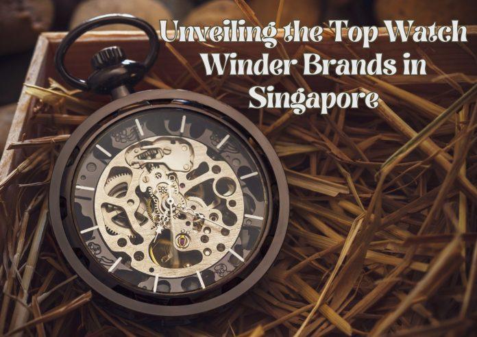 Unveiling the Top Watch Winder Brands in Singapore