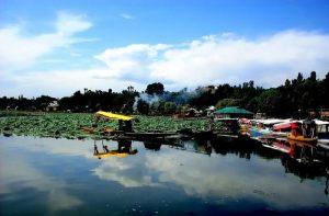 Visit Manasabal Lake to watch birds at Manasabal Lake