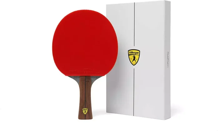 Best Ping Pong Paddle Set