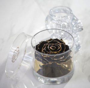  Elegance of Black Roses