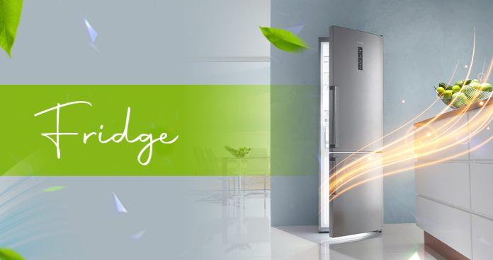 fridge