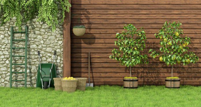 synthetic grass