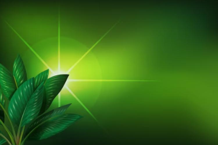 virginia medical cannabis card