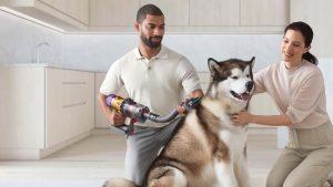 best pet grooming Dubai