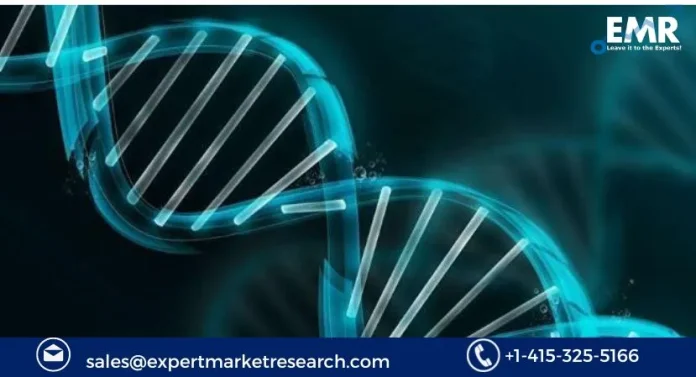 Antisense and RNAi Therapeutics Market