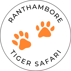 Ranthambore Tiger Safari 