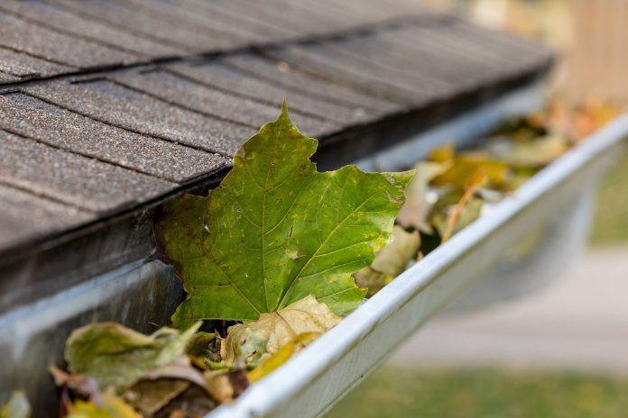 Gutter Cleaning South Carolina