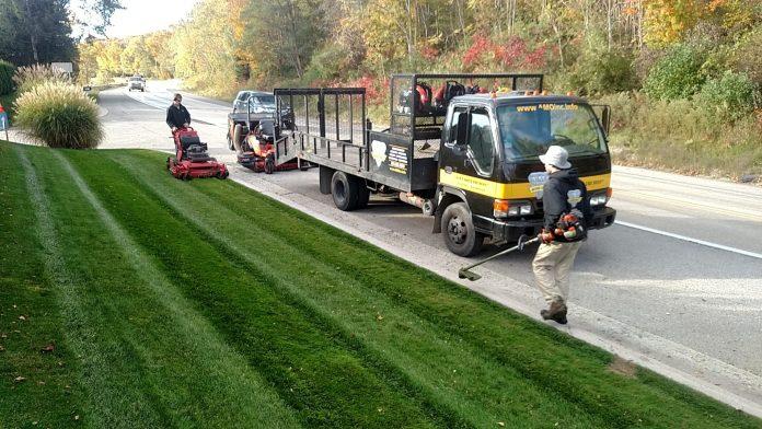 Lawn Care Service in New Jersey