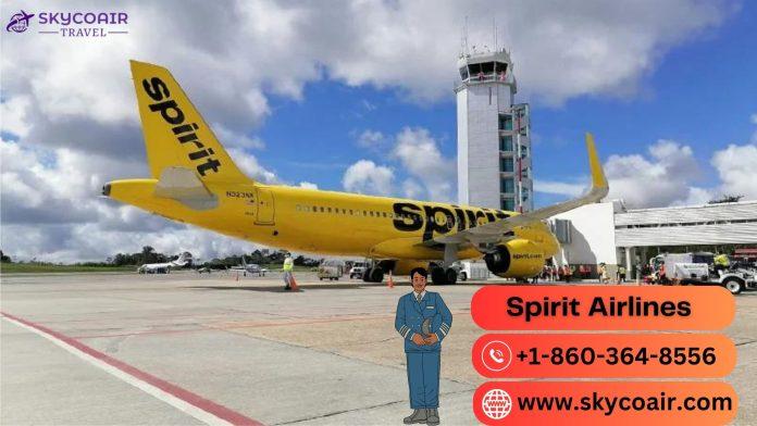 Spirit Airlines Flight Reservations