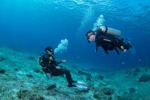 best-scuba-diving-in-Mexico