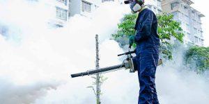 fumigation services near me