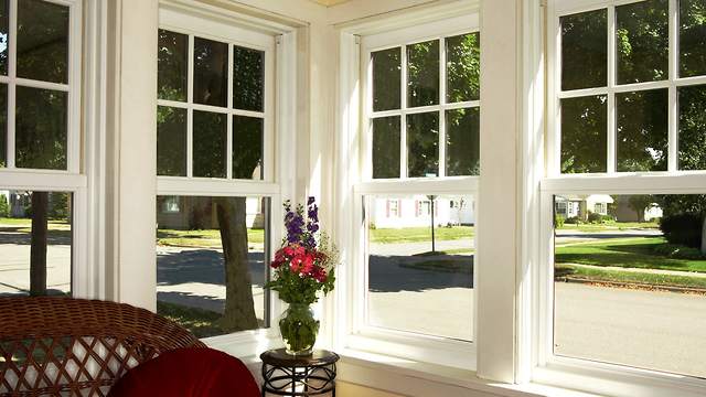 NewPro Windows Cost