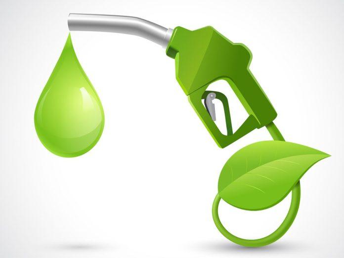 Europe Biodiesel Market Report