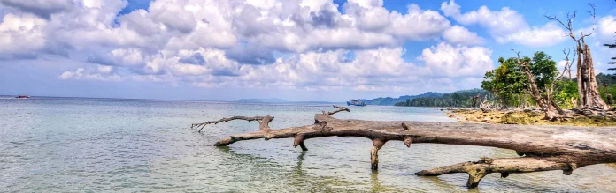 Andaman Trip: Adventure of a Lifetime for Couples