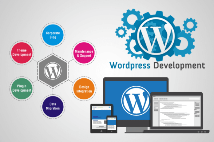 custom wordpress website design