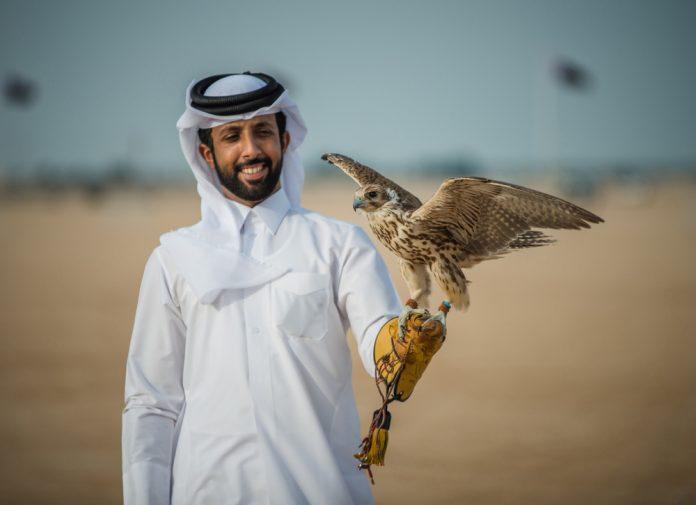 Falcon Hunting Qatar