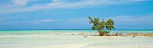 What to Expect in Andaman?