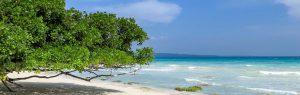 What to Expect in Andaman?
