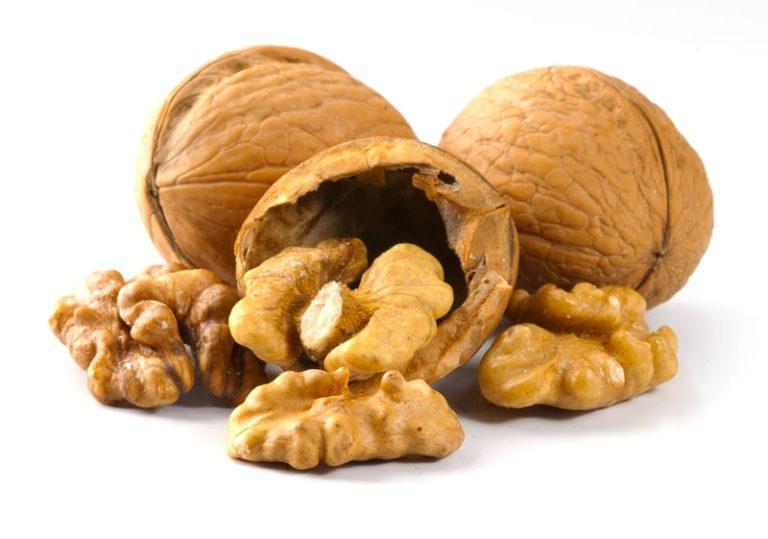 Walnut Market Price, Trends, Industry Analysis and Forecast 2023-2028