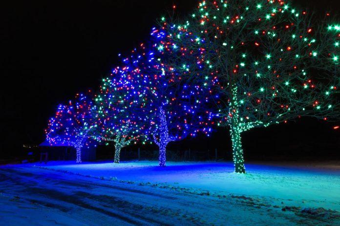 Holiday Light Installation