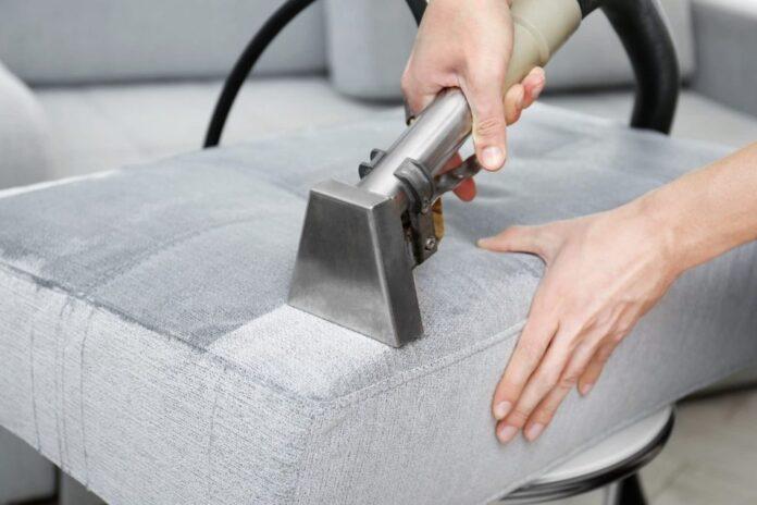 Couch Cleaning Lalor Park What to Expect from Professionals